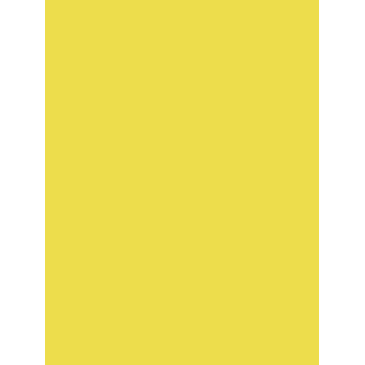 Paquet 25F Affiche peinte 60x80cm sous film jaune citron