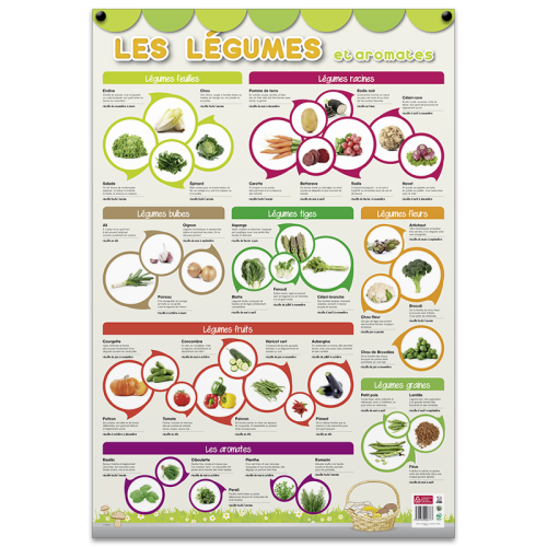 Poster pédagogique BOUCHUT Légumes 52 x 76 cm